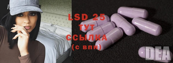 стаф Сосновоборск