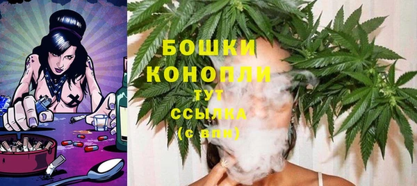 стаф Сосновоборск