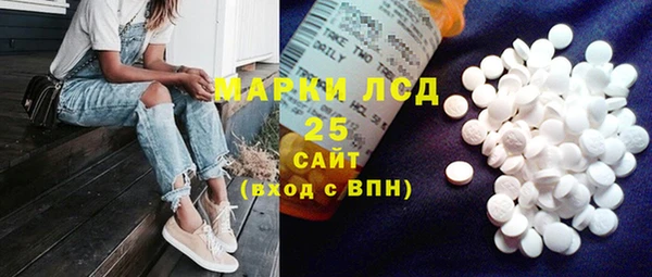 стаф Сосновоборск