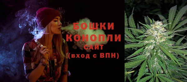 МДПВ Сосновый Бор