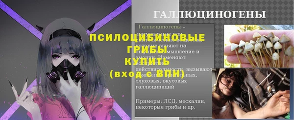 МДПВ Сосновый Бор