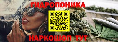 шишки Кимры