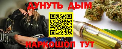 шишки Кимры