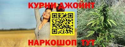 шишки Кимры