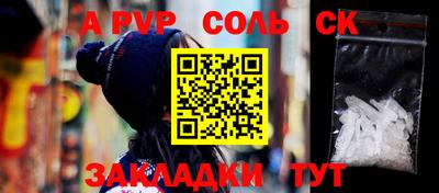 шишки Кимры