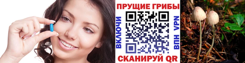 наркотики  Южно-Сахалинск  Псилоцибиновые грибы мицелий 