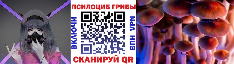 Псилоцибиновые грибы прущие грибы Южно-Сахалинск